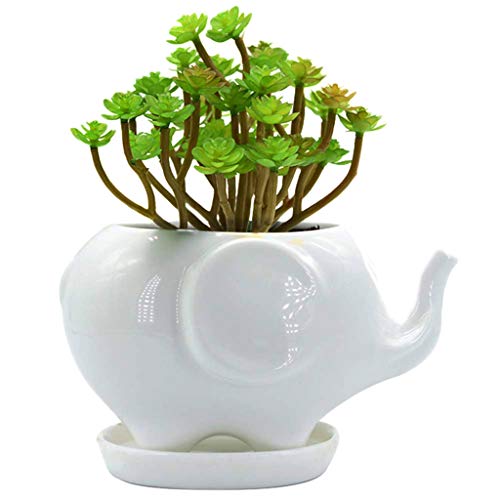 Sersberg 3.94 Inch Round Ceramic Plant Saucer For Succulent Planter Set Of 4,White #TOP4