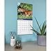 Carousel Worldwide, British Horses & Ponies 2026 Square Wall Calendar