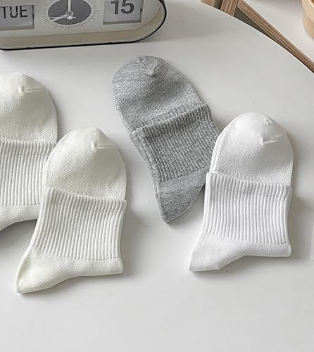 Women's Mesh Panel Crew Socks, Ankle Thin Sock with Reinforced Zones for Shoe Size 5-83