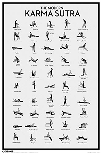 Pyramid America Modern Karma Sutra Chart Laminated Dry Erase Sign Poster 12x18