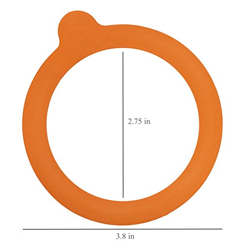 Kilner - 25.489 Glass Standard Rubber Seals (Clear)
