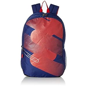Lavie Sport 34L Hype 2 Casual Backpack | School College bag for Boys & Girls