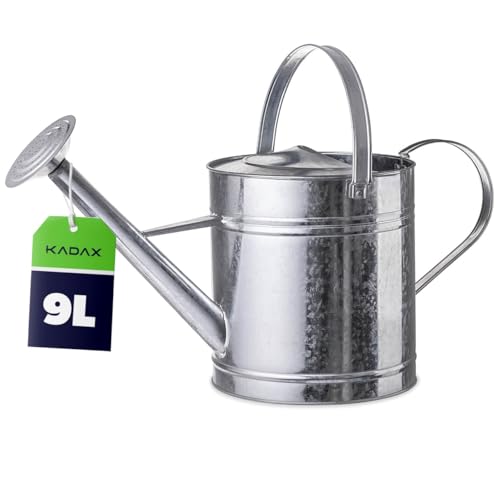 KADAX Zinkgießkanne 9 Liter Vintage Gießkanne aus verzinkter Stahl große Metallgießkanne mit Abnehmbarer Brause Giesskanne für Garten & Gewächshaus (Silber)
