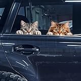 2Pcs Cute Peeking Sneaky Cat Car Sticker, Funny Cat Car Bumper Sticker, 11.8 × 6 in Vinyl Decal for Cars,Windows,Laptops, Motorcycle Wall