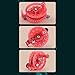 Zxpjkyu Fly Fishing Reel No Bearing Left Right Hand Use for Surf Casting Pp Structure Diameter 6cm, Red