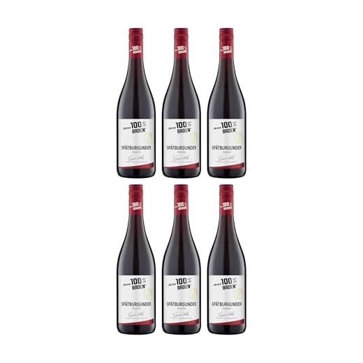 Für mich 100% Baden Spätburgunder Rotwein Rot Trocken VEGAN Deutschland inkl. FeinWert E-Book (6 x 0.75 l)