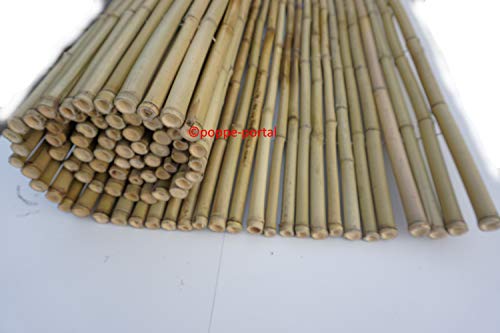 poppe-portal 24/26 mm 120x250cm goldgelb Bambusrollzaun Rollzaun Bamboo Cover