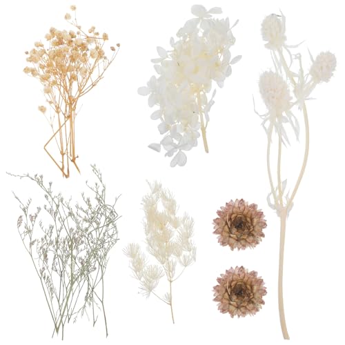 ERINGOGO Wp^hCt[Zbg VRԑf Ԃт}`J[ Ntgp DIYtHgt[f 1Set