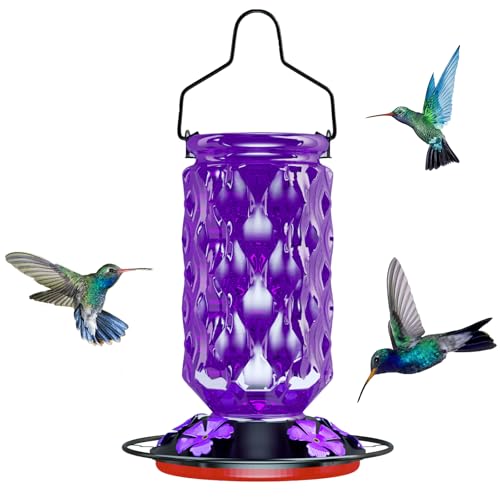 24OZ Glass Hummingbird Feeders for Outdoors Hanging Five Feeding Ports with Perch Leak Proof for Gardens Decor Backyard Bird Feeder for Outside Birthday Gifts for Women Men Gifts for Mom Dad