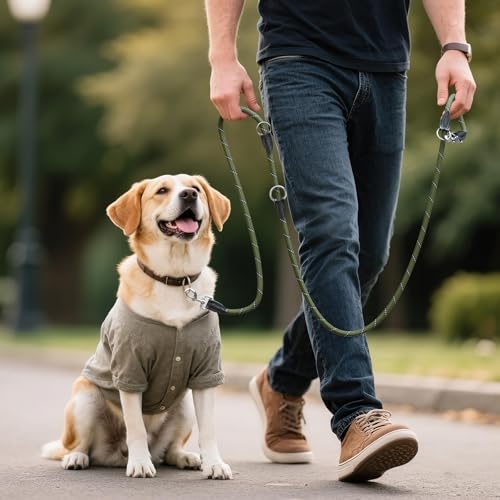 Aystkniet 3M Verstellbar Hundeleine für Große und Mittlere Hunde, Robuste Nylon Reflektierende Freihandleine mit 2 Karabiner, Vielseitig Führleine und Umhängeleine mit 250kg Zugkraft, Grün 12mm