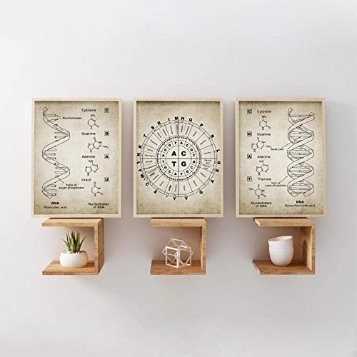 Woplmh Impression sur toile avec code génétique ADN et ARN génétique Cadeau d'étudiant Poster vintage Science Décoration murale 40 x 60 x 3 cm Sans cadre Cover