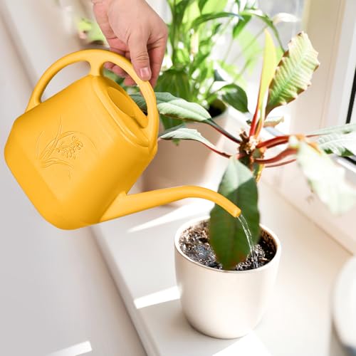 Image of Plastic Watering Can - for Indoor and Outdoor Plant - 1 /2 Gallon - Orange