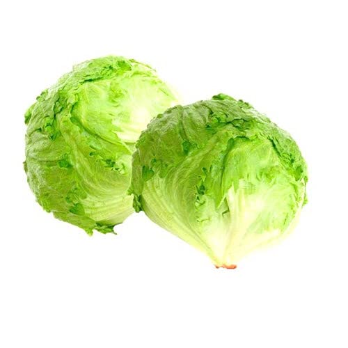 Plantogallery® Iceberg Lettuce Organic F1 Hybrid Germination Vegetable Seeds (B09H491G9H) Amazon Price History, Amazon Price Tracker