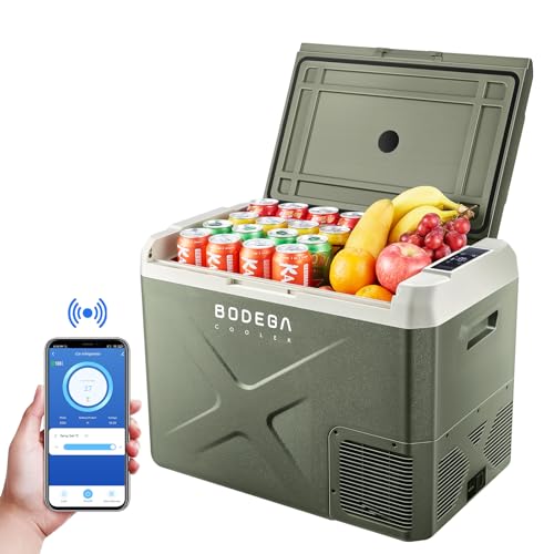 BODEGA Refrigerador coche 12 voltios refrigerador