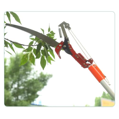 Cabezal de sierra podadora extensible para jardín miniatura 5