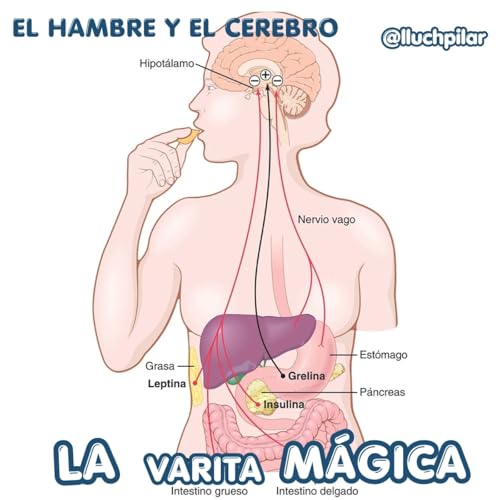 La Varita M&aacute;gica "El hambre y el cerebro"