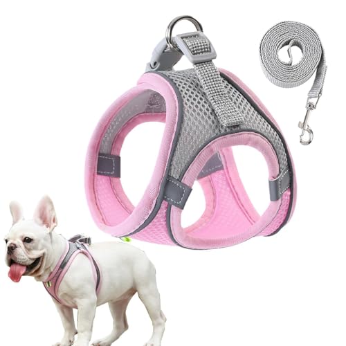 Hundegeschirr für kleine Hunde, reflektierendes Hundegeschirr, atmungsaktive Sicherheitsweste für jedes Wetter, hohe Sichtbarkeit für Haustiere für kleine und