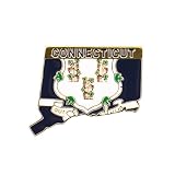 Connecticut State Shaped Map Lapel Metal Pin Enamel Brooch Keepsake Beautifully Designed for Backpack Hat