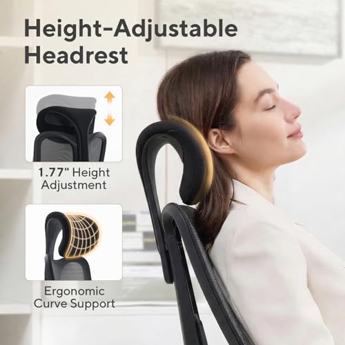 branch ergonomic chair review