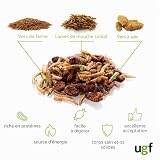 UGF mélange d’insectes séchés en seau de 500 ml, 80 g photo 3