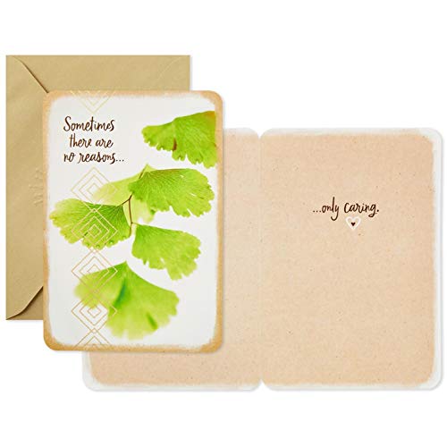 Hallmark Assorted Just Because Cards Organized in Storage Box, Box of 10 Greeting Cards - Thumbnail 4