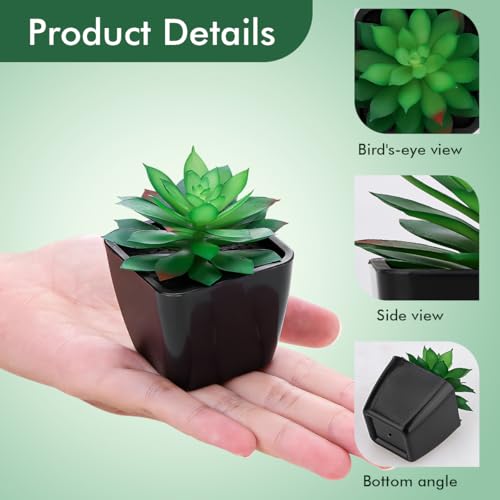 Funzhan 人工多肉植物 鉢植えの小さなフェイクグリーン植物 リアルな黒い鉢に オフィスデスク ハロウィンデコレーション 寝室 リビングルーム 棚 バスルームの装飾用 6個パック [3]