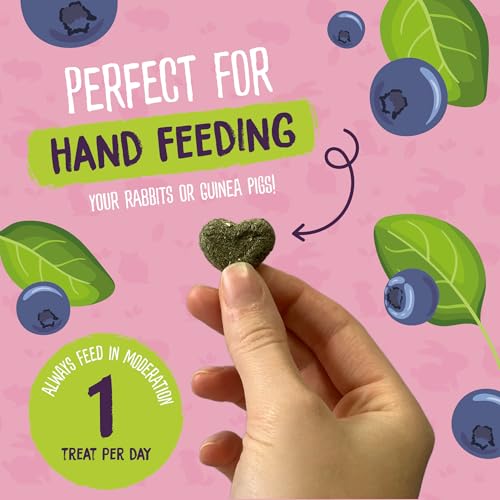Burgess Excel Sunshine Snacks, Baked Nature Snacks With Blueberry & Spinach 360g. Healthy Treats for Rabbits & Guinea Pigs (6 Packs of 60g) - Image 2