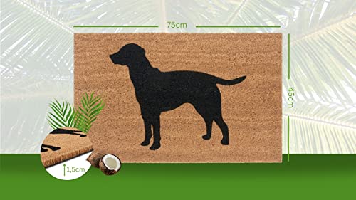 Hanse Home Mix Mats Coconut Doormat for Indoor and Outdoor Use, Dirt Trapper Mat Natural, Coconut Mat Outdoor Dog - Image 2