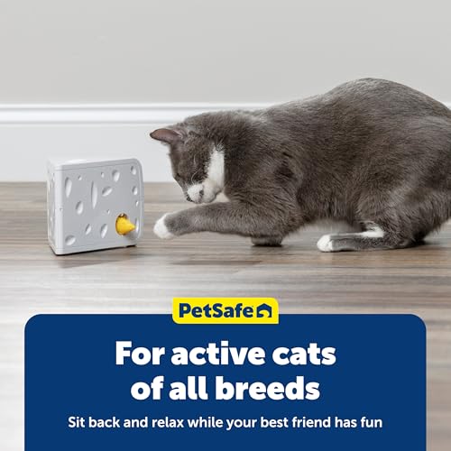 PetSafe Cheese - Interactive, Electronic Cat Toy - Peek-A-Boo Mouse Hunt Game - Hide and Seek for Bored and Anxious Cats - Kitten Teaser Toy - Automated Cat Toy for Cat Enrichment and Exercise by PetSafe - Image 6