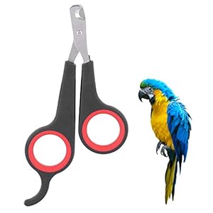Animal-Nail-ScissorsBird-Nail-ScissorsBeak-Trimmer-for-Birds-Pet-Bird-Small-Animals-Accessory-Grooming-ToolNail-Scissors-Clipper-Black-and-Red - Cucciolini Doodles   Animal-Nail-ScissorsBird-Nail-ScissorsBeak-Trimmer-for-Birds-Pet-Bird-Small-Animals-Accessory-Grooming-ToolNail-Scissors-Clipper-Black-and-Red