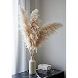 🌾Perfektes Grschenk: Unsere Pampas groß Gräser eignen sich super als Geschenk für Frauen und Männer. Überrasche deine Liebsten mit einer nachhaltigen Geschenkidee und schenke Ihnen ein Stück Natur für ihr zuhause. Mit unseren wunderschönen Pampas zauberst du Jedem ein Lächeln ins Gesicht!