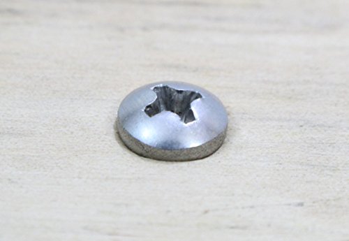 #8 X 3/4" Stainless Phillips Pan Head Wood Screws (100 Pack), 18-8 (304) Stainless Steel By Bolt Dropper #TOP4