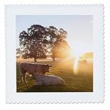 Square dimensions (in inches): 6 L x 6 W, image dimensions (in inches): 4 L x 4 W 100% poloyester; image is soft to touch. Made in USA Edges have pinking shear cut Image will not fade with washing. Image not a transfer, part of material