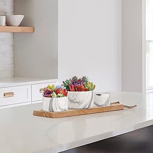 5.7/4.9/4.1 Inch Ceramic Succulent Planters Set Of 3 Round Indoor Plant Pots Marble Shallow Bowl Planters For Indoor Plants Cactus Aloe Flower Bonsai Home Office Living Room #TOP1