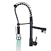 Rozin Oil Rubbed Bronze LED Light Pull Down Spray Kitchen Sink Faucet Swivel Spout Mixer Tap