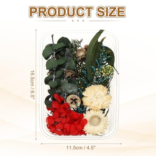 Set de flores secas naturales para manualidades miniatura 2