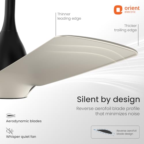 Image of Orient Electric Aerosilent | India's Most Silent Fan | Less than 50dB| 1200mm BLDC Ceiling Fan with Remote | BEE 5-Star Energy-Efficient Fan | Red Dot Design Winner| 5-Year Warranty | Dune Gold