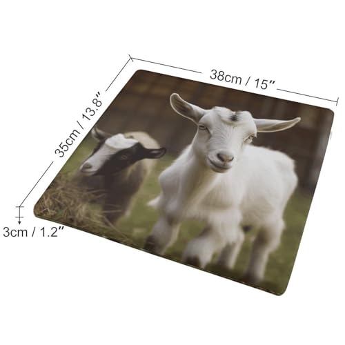 Housse amovible en polyester lavable pour coussin de siège chèvre - 3