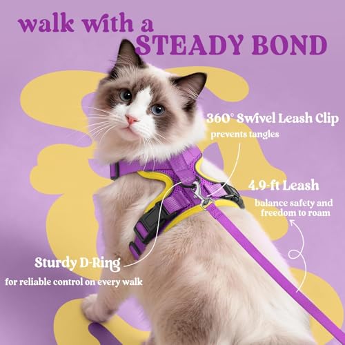 Image of rabbitgoo Cat Harness and Leash Set, Escape Proof Vest, Purple & Yellow | Soft Breathable Mesh, Easy Adjustable Fit, Snap Buckles, Sturdy Clip, Reflective Strips, for Average Cats Walks, S