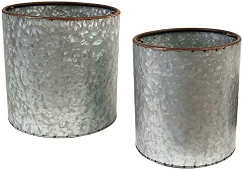 BestNest Esschert Design Old Zinc Flower Pots with Vertical Supports – Set of 2 Galvanized-Look Metal Planters with Green Obelisk Trellises – Rustic Garden Plant Supports for Climbing Flowers & Vines