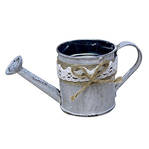 Cupcinu Vase Design Fer Forme Seau Arrosoir Pot Panier Rétro Placer Fleurs Plants Bouquets Antipollution Décoration Maison Salon Bureaux Table Vitrine 6,3x6x7cm (Argent) Cover