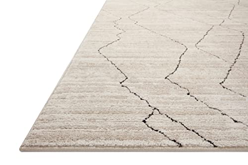 Loloi Darby Collection DAR-03 Sand/Charcoal 2'-7" x 10'-0" Runner Rug by Loloi - Used condition - US$42.70