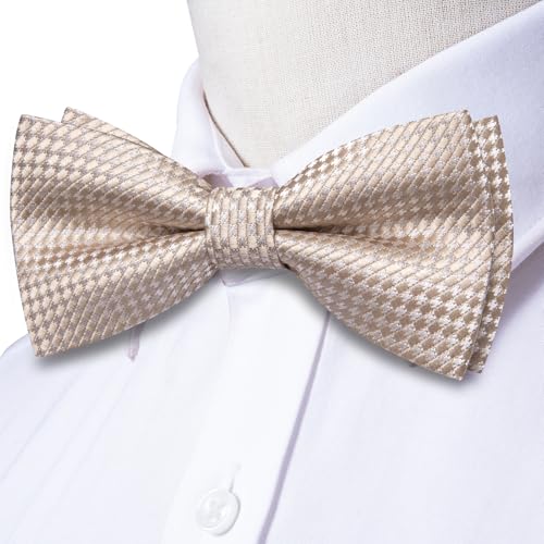 Image of Dubulle Mens Paisley Striped Bowtie Set Pre-tied Bowtie for Men and Pocket Square Set Wedding Business