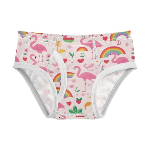 Wusikd Pink Flamingos Boys' Underwear Cotton Rainbows Watermelon Hearts Boys Briefs Soft Toddler Underwear 2T