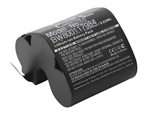 Batterie Li-ION 2600mAh vhbw pour filmer vos vacances sans interruption sur caméscope