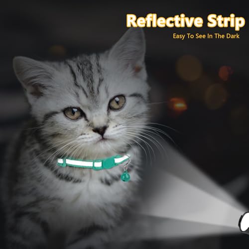 Image of Taglory 2 Pack Cat Collar with Bell, Breakaway Buckle and Reflective Strip | Adjustable 15-20 cm for 2-6 Months Cat, Quick Release Clip, Kitten and Adult Cats, Spare Collar Included, Indoor Outdoor Use