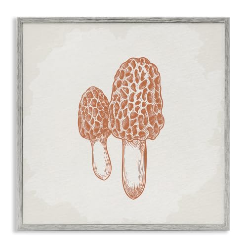 Mushroom Botanical Study Drawing, 17 x 17 Inch Framed Giclée Print