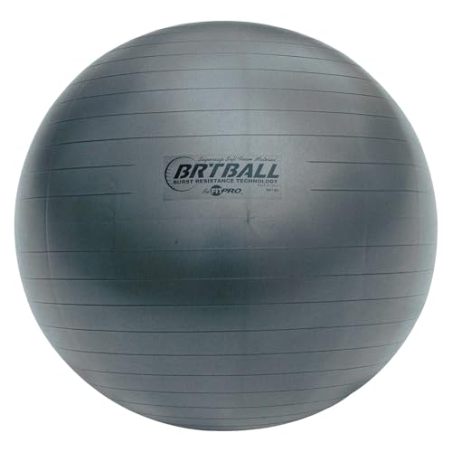 Ballon d'exercice Champion Sports 53 cm pour Renforcement Musculaire et Pilates