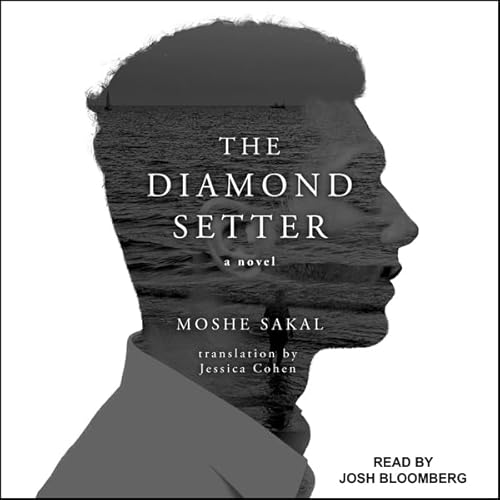 The Diamond Setter cover art