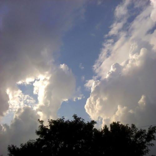 Reproducir Carpet Cleaner de Big Luva en Amazon Music